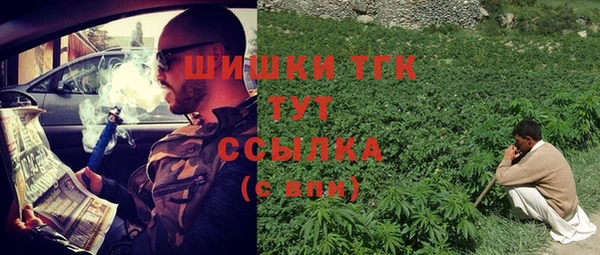 мдпв Сосновоборск