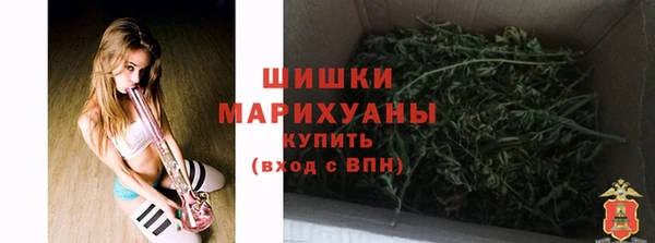 мдпв Сосновоборск
