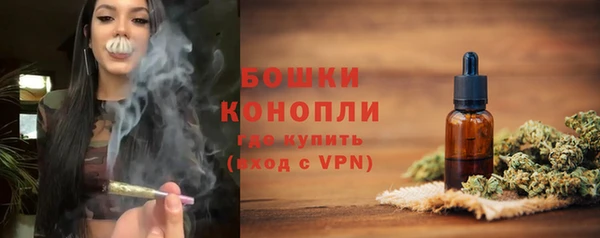 мдпв Сосновоборск