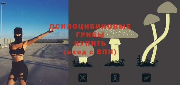 мдпв Сосновоборск