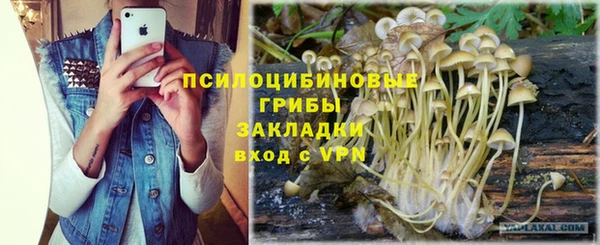 мдпв Сосновоборск