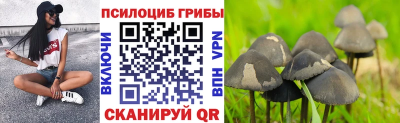 цены наркотик  Иноземцево  Псилоцибиновые грибы Magic Shrooms 